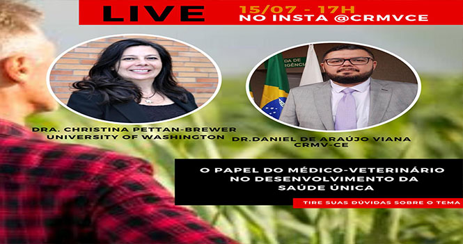 Notícia LIVE SAÚDE ÚNICA 15.07 Destaque