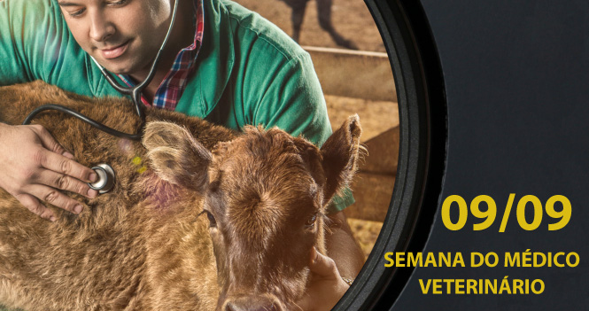 Semana do Médico Veterinário