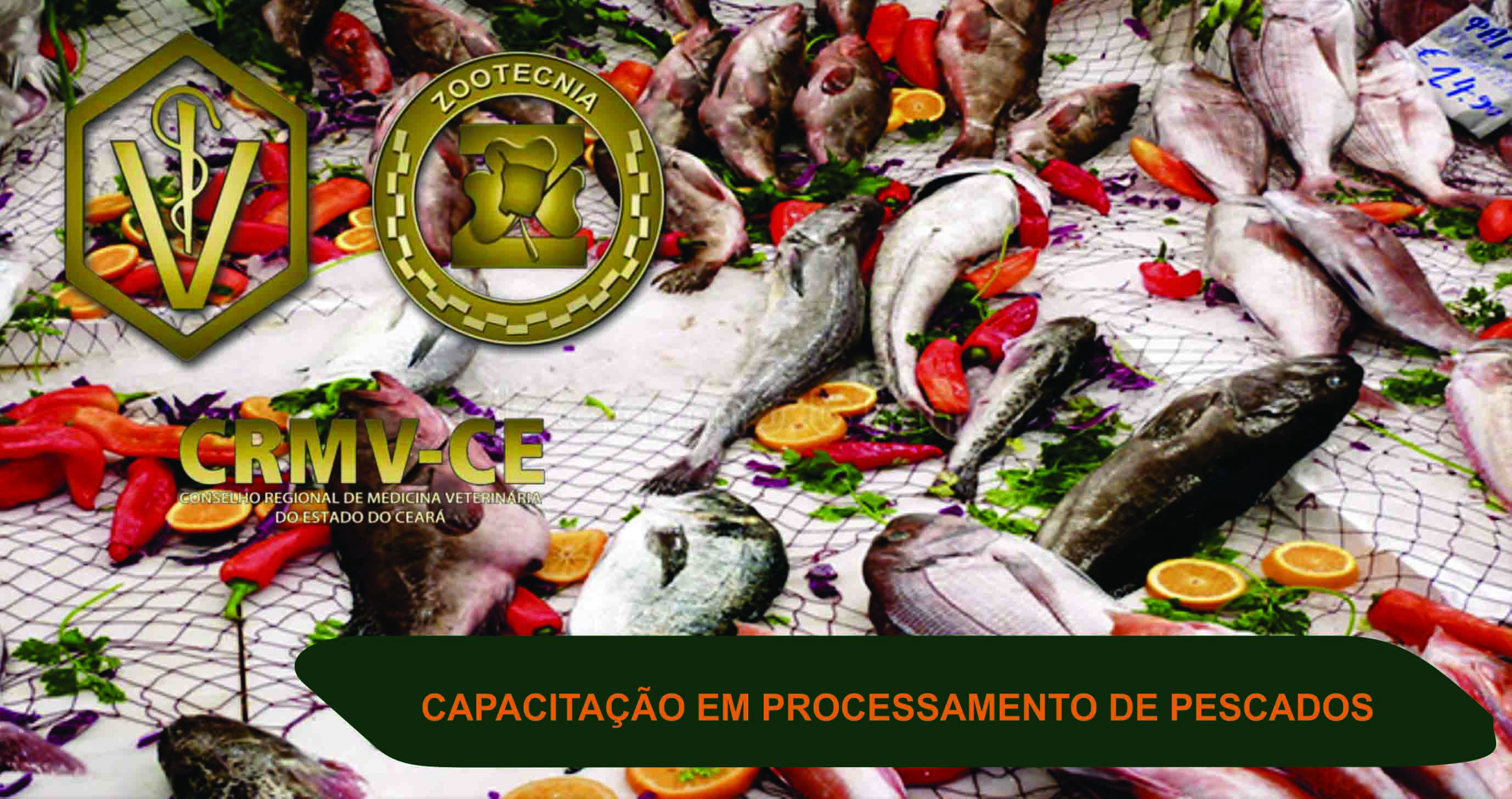 CAPACITAÇÃO PROCESSAMENTO DE PESCADOS