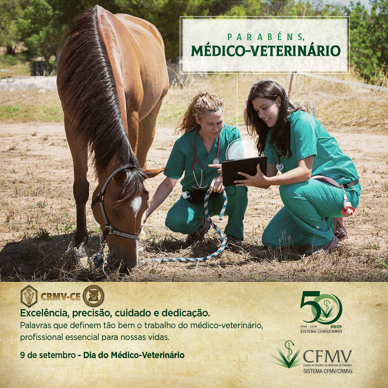 Cartão Médico Veterinário 2018 Easy Resize.jpeg