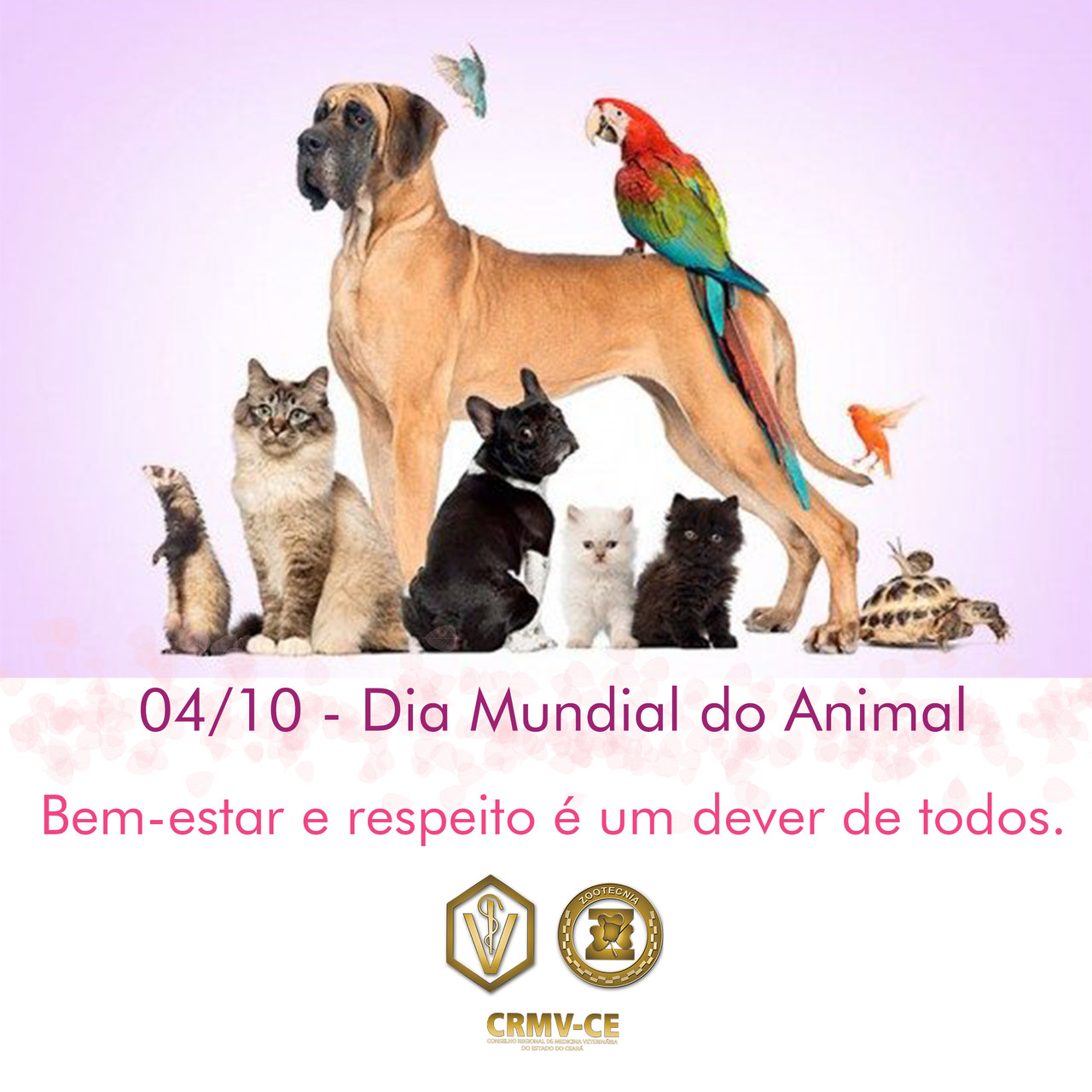 Dia Mundial do Animal.jpeg