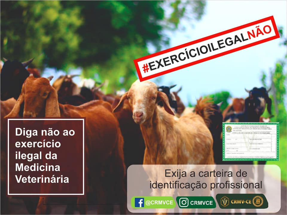 Exercício ilegal n