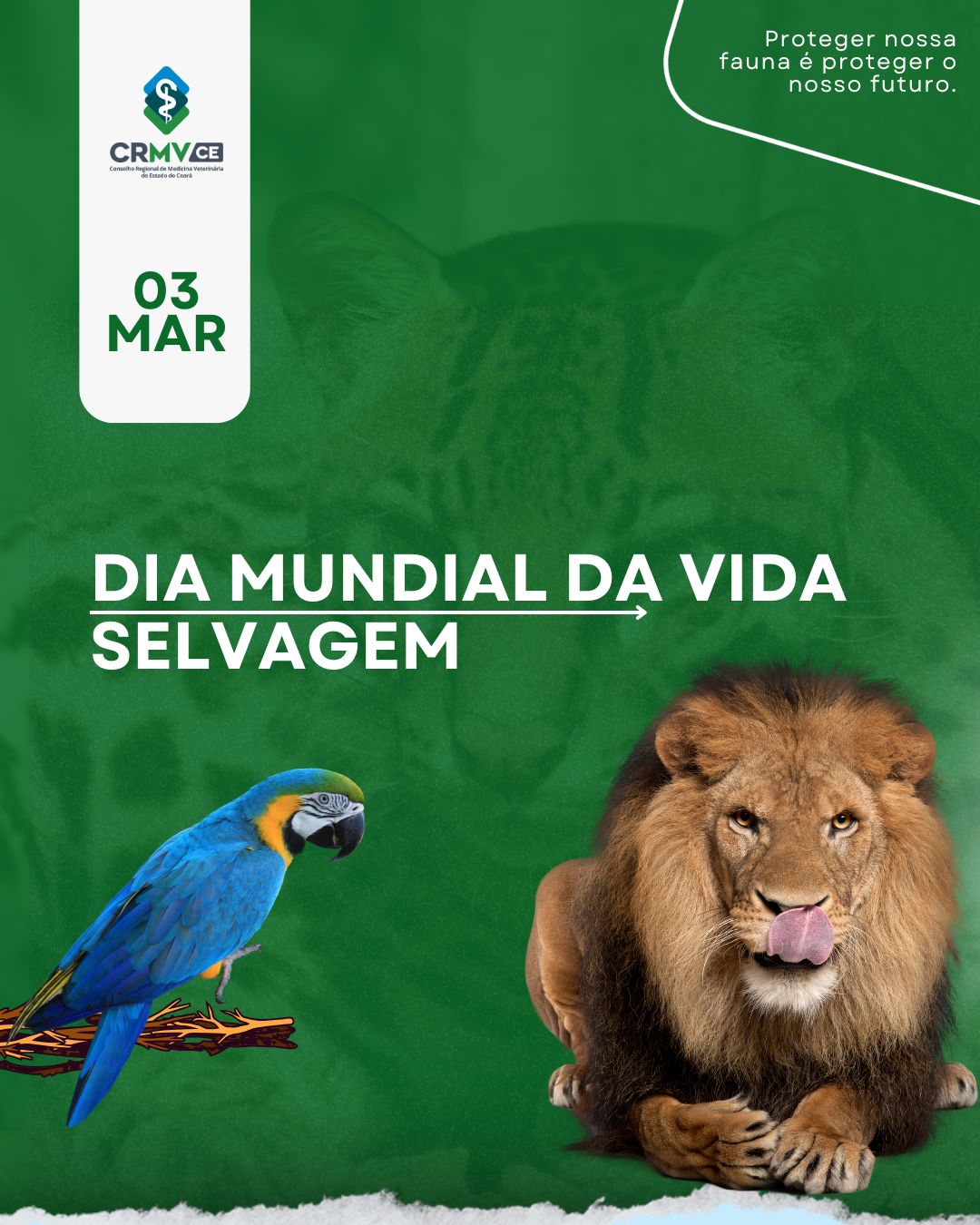 Imagem do WhatsApp de 2025 02 28 às 08.55.53 3a3b9e02
