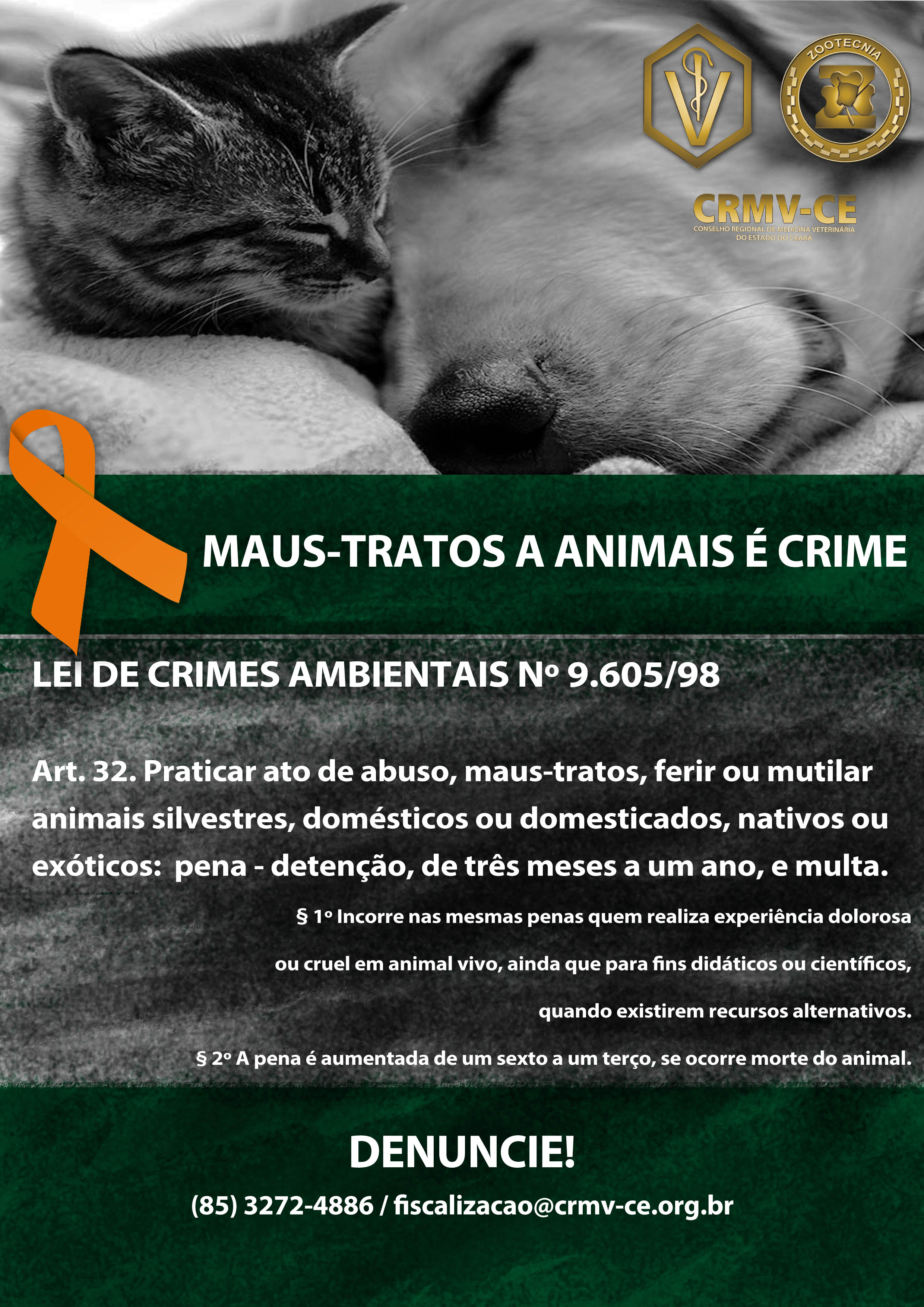 Maus tratos animal é Crime Abril Prevenção Contra a Crueldade Animal