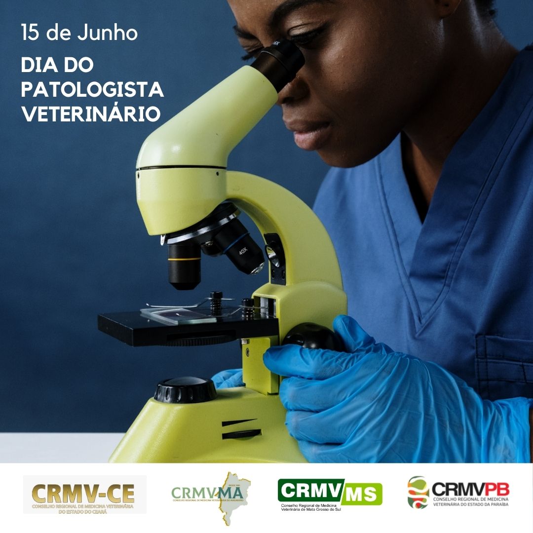 Veterinário Patologista