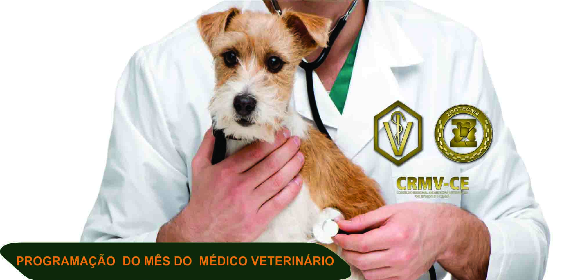 mês do med vet219